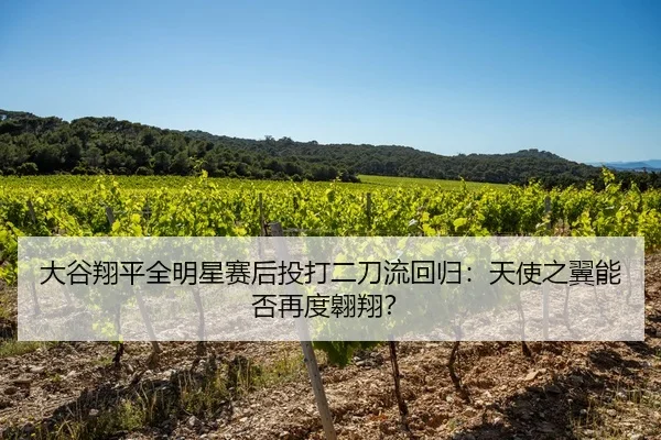 大谷翔平全明星赛后投打二刀流回归：天使之翼能否再度翱翔？